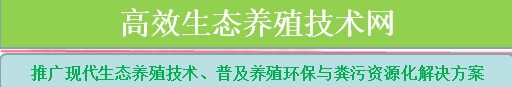 高效生態(tài)養(yǎng)殖技術網(wǎng)